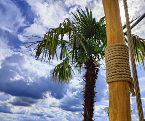 Hochzeit Strand Emsland